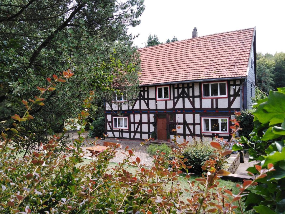 Wolfsmuhle Villa Neustadt  Exterior photo